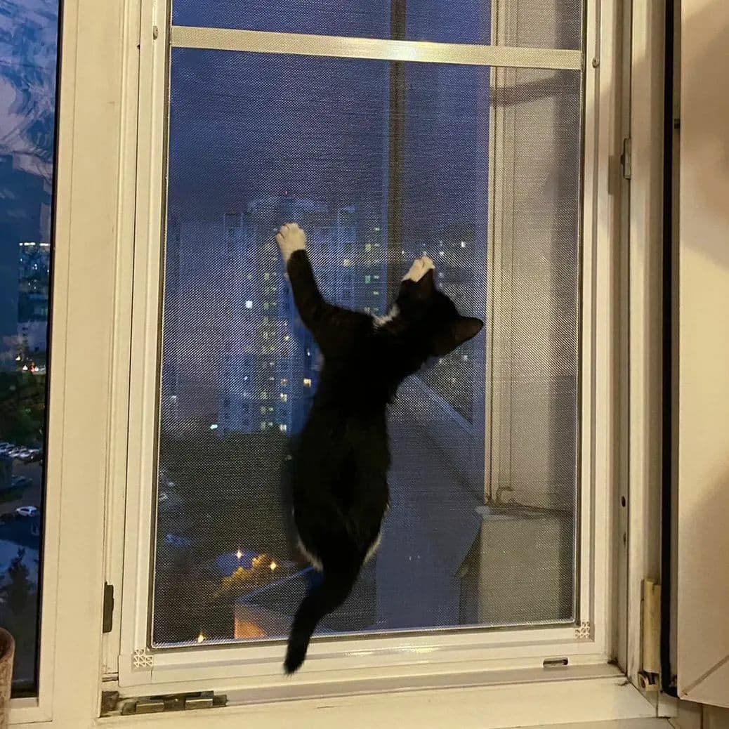 Окошка