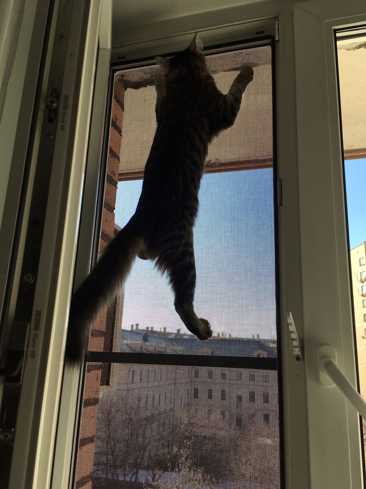 Частный мастер Юрий