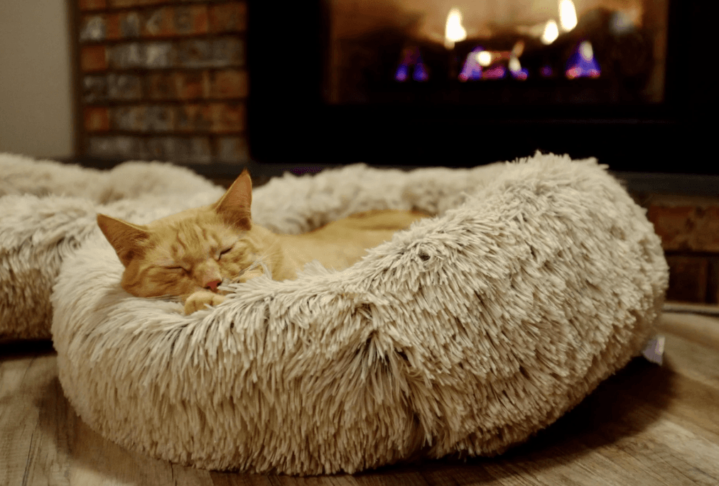 кошка в лежанке