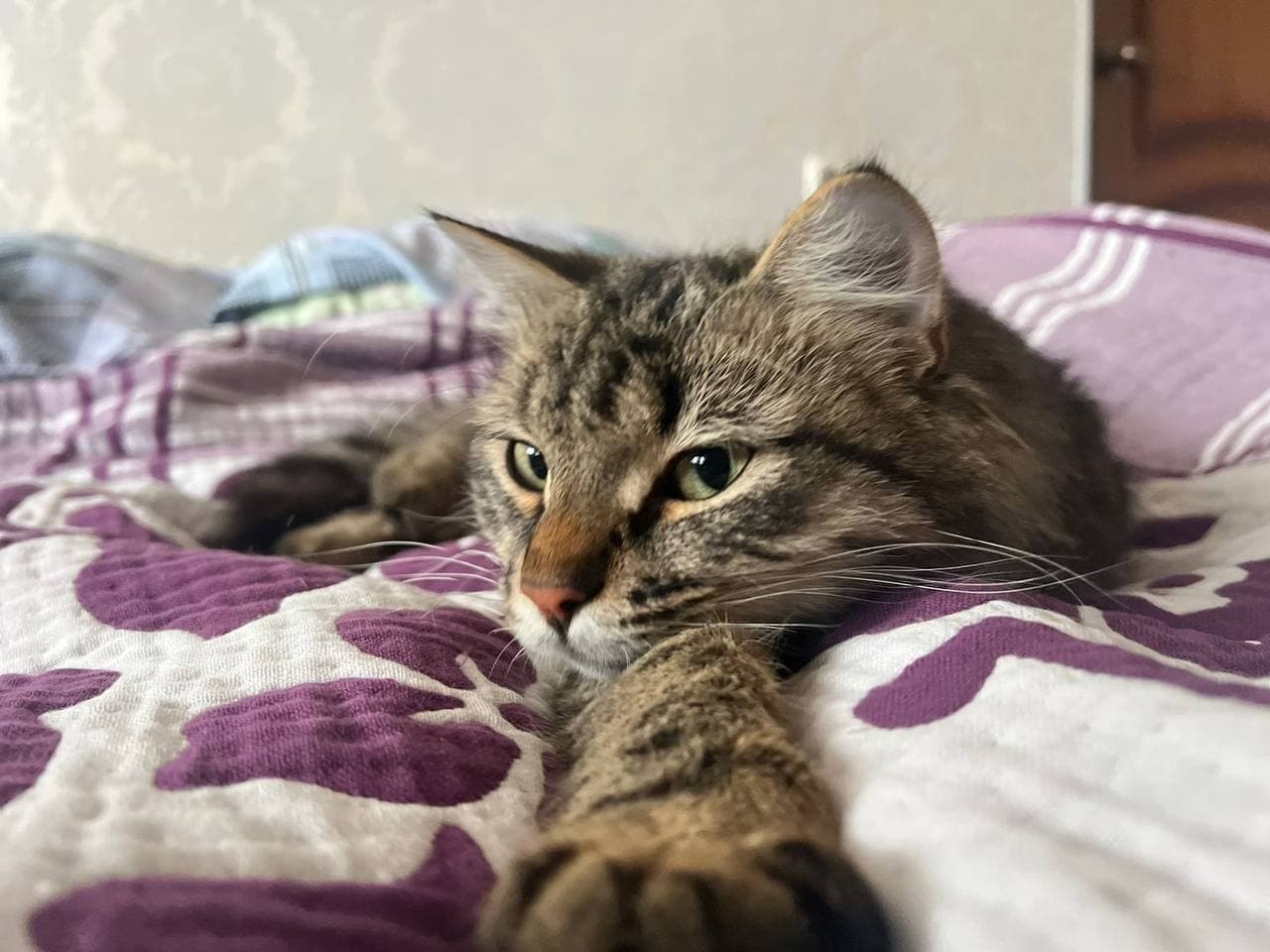 веня1