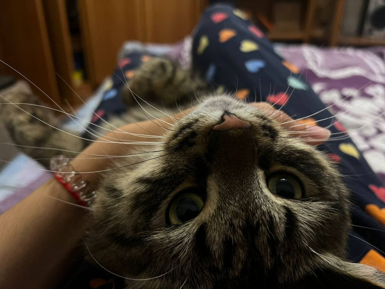 веня