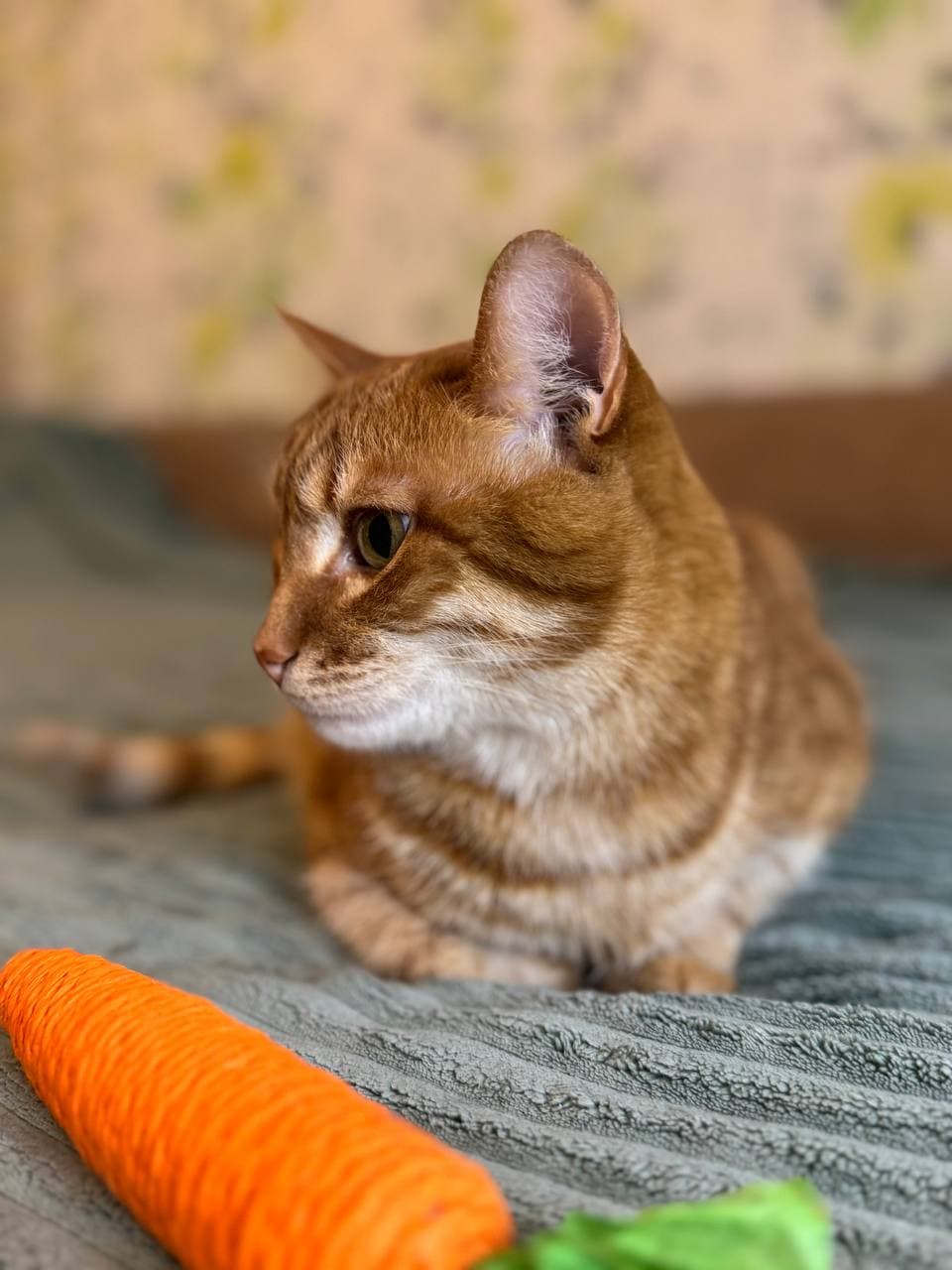Пончик