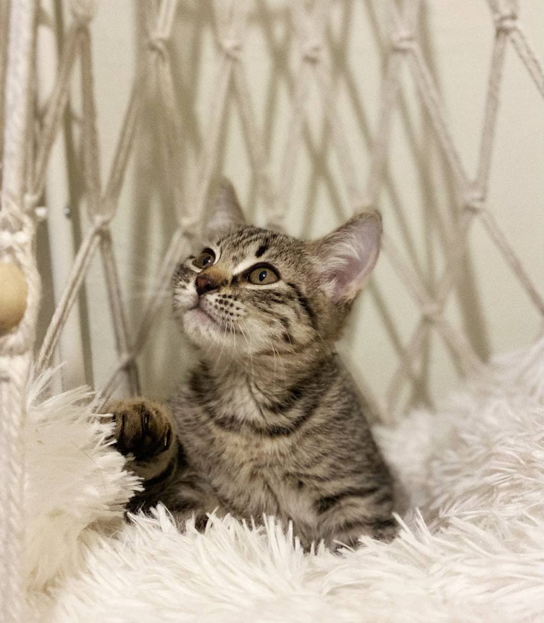 Мииич